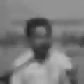 Shadab bastavi