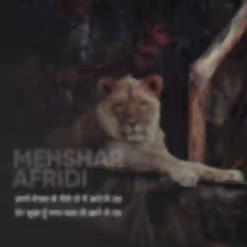 Mehshar Afridi