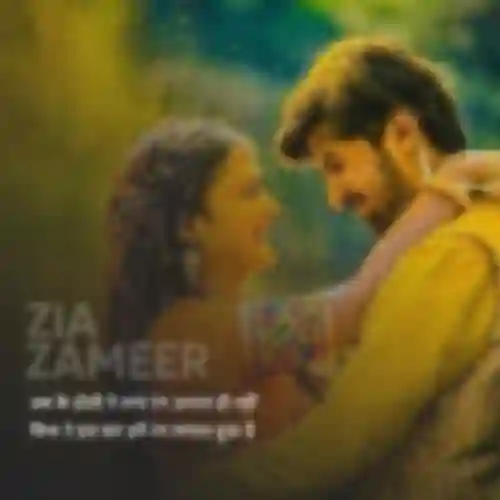 Zia Zameer