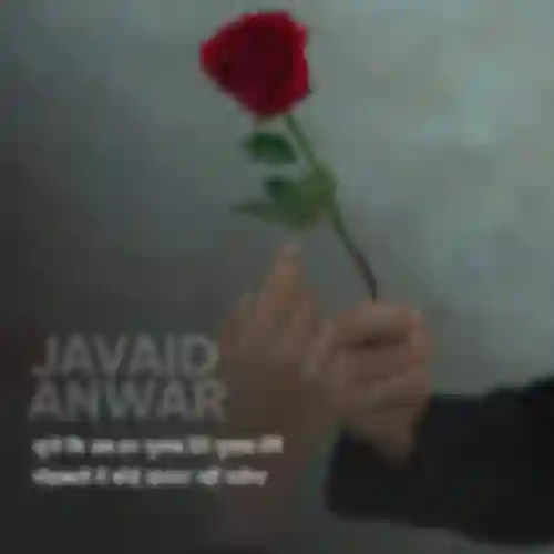 Jawayd Anwar