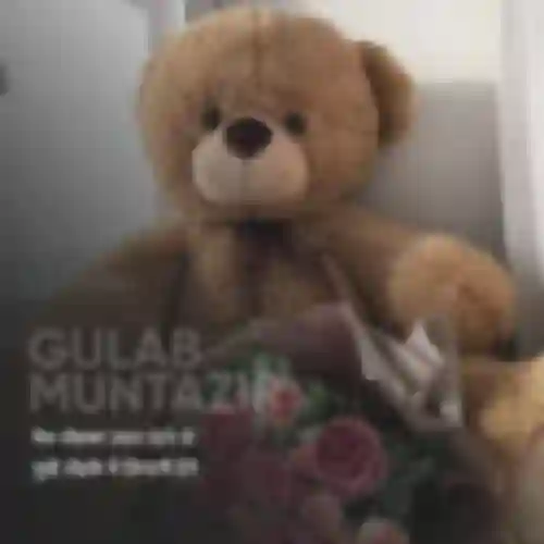 gulab muntazir